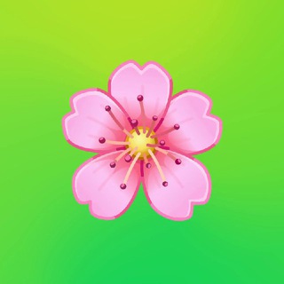 ЧАТ ОЛИМПИАДНИКОВ